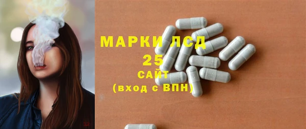 эйфоретик Инта