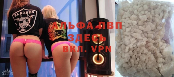 эйфоретик Инта